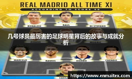 Bsport手机版